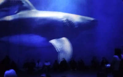 Une immersion fascinante à l’Atelier des Lumières : Planète Océan, immersion dans les profondeurs